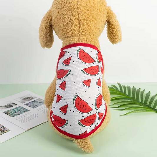 Summer Time Evcil Hayvan Kıyafeti Petivio