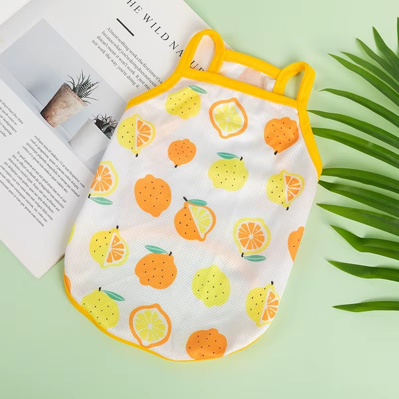 Summer Time Evcil Hayvan Kıyafeti Petivio