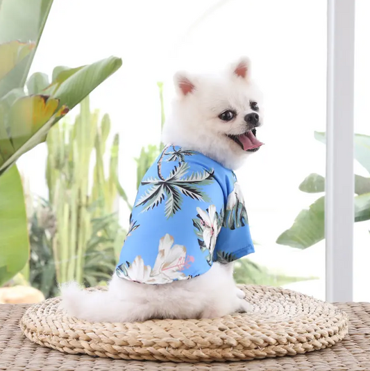 Paw Sailor Evcil Hayvan Kıyafeti