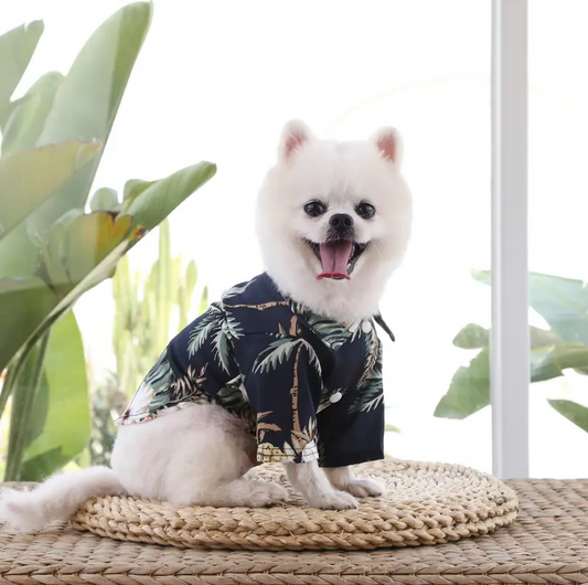 Paw Sailor Evcil Hayvan Kıyafeti