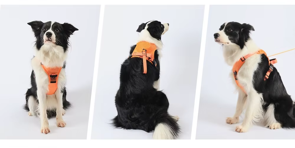 Kilitlenebilir Gövde Tasması (Kedi / Köpek)