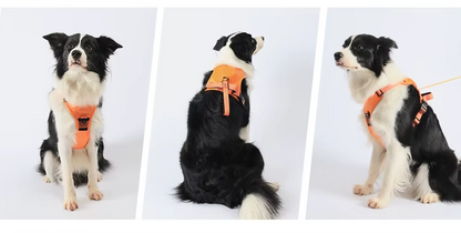 Kilitlenebilir Gövde Tasması (Kedi / Köpek) Petivio