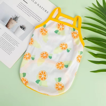 Summer Time Evcil Hayvan Kıyafeti Petivio