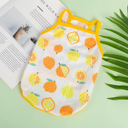 Summer Time Evcil Hayvan Kıyafeti Petivio