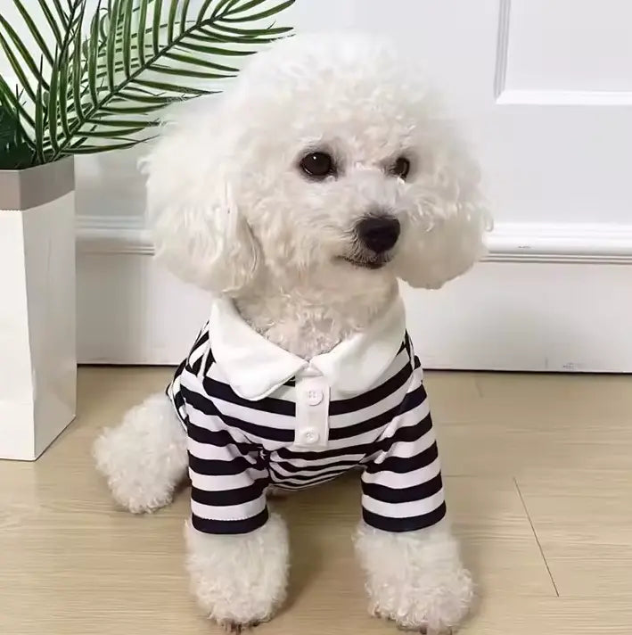 Pati Polo Evcil Hayvan Kıyafeti Petivio