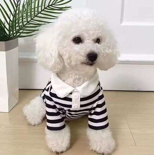 Pati Polo Evcil Hayvan Kıyafeti Petivio