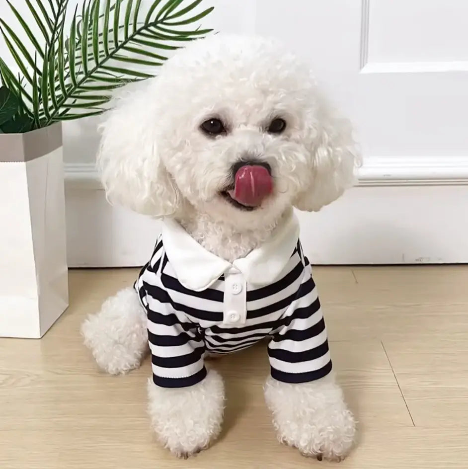 Pati Polo Evcil Hayvan Kıyafeti Petivio