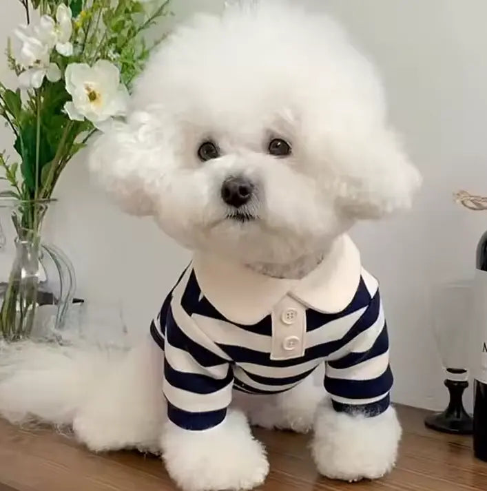 Pati Polo Evcil Hayvan Kıyafeti Petivio