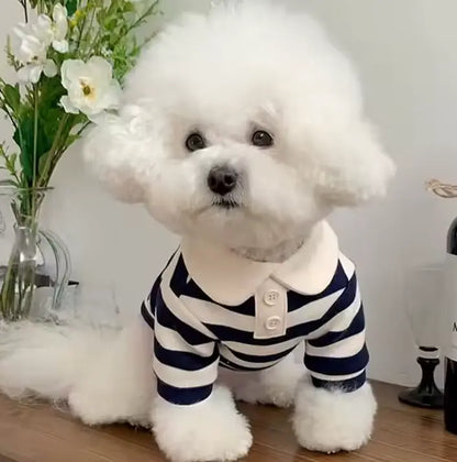 Pati Polo Evcil Hayvan Kıyafeti Petivio